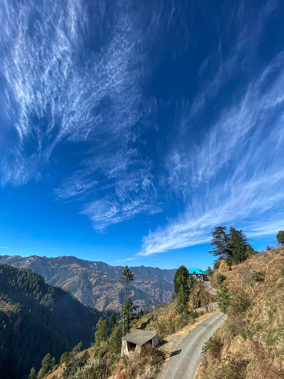 Mountain view from Alpine Crest Homestay